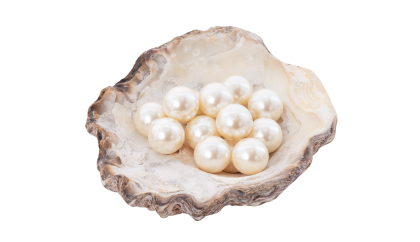 An image featuring oyster shell with pearls inside